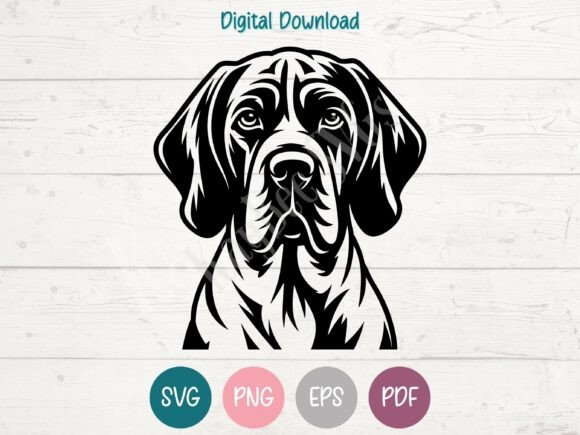 Bracco Italiano Dog SVG PNG EPS PDF Review