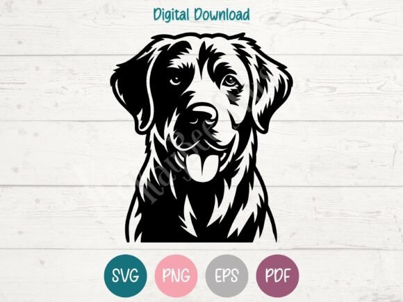 Chesapeake Bay Retriever Dog SVG PNG Review