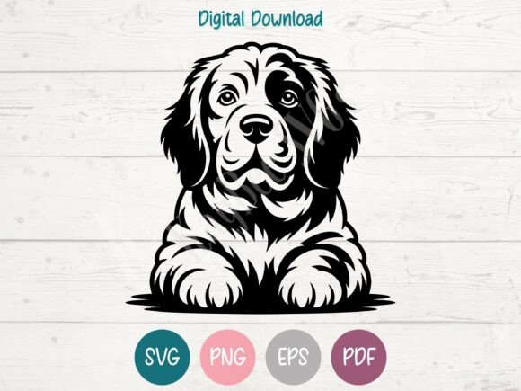 Clumber Spaniel Dog SVG PNG EPS PDF Review