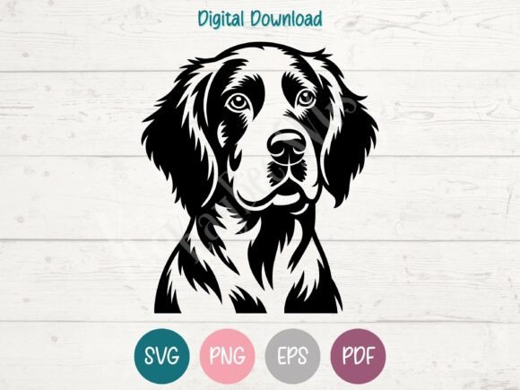 English Setter Dog SVG PNG EPS PDF Review
