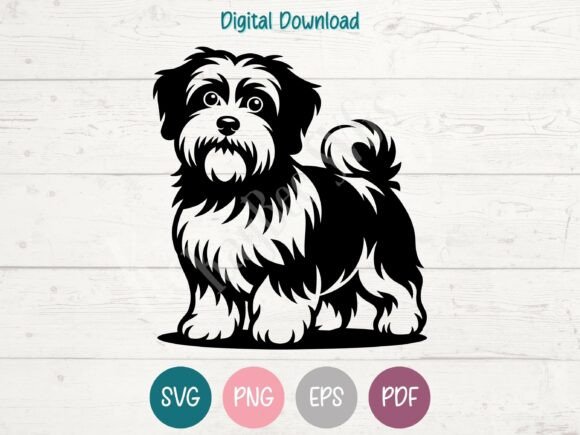 Havanese Dog SVG PNG EPS PDF Design Review