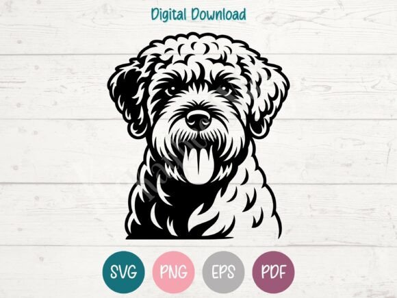 Lagotto Romagnolo Dog SVG PNG EPS PDF