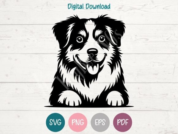 Miniature American Shepherd Dog SVG PNG Review