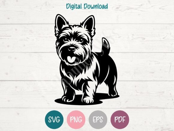 Norwich Terrier Dog SVG PNG EPS PDF Review
