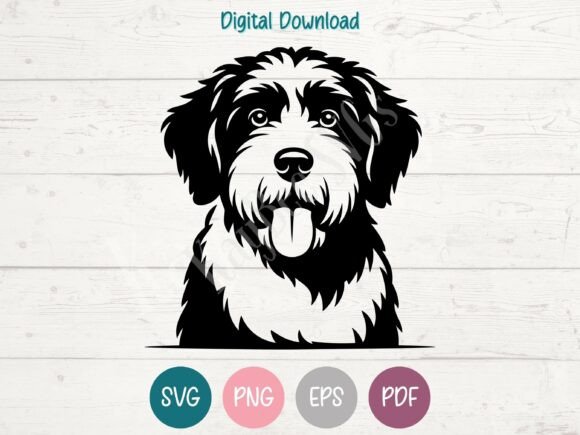 Spanish Water Dog SVG PNG EPS PDF Review