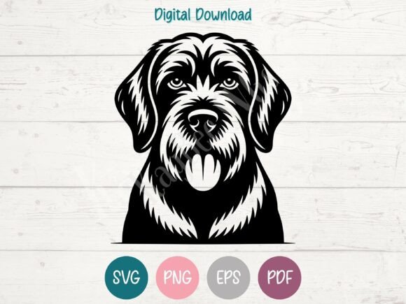 Spinone Italiano Dog SVG PNG EPS PDF Review