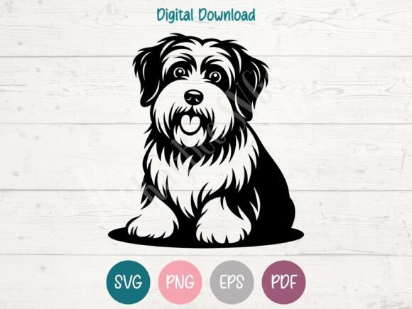 Tibetan Terrier Dog SVG PNG EPS PDF